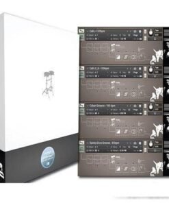 Muletone Audio - Travel Congas - Full Version