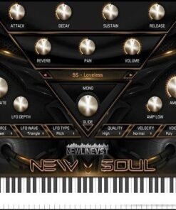 NewLineVST - New Soul plug-in 1.0 - Full Version