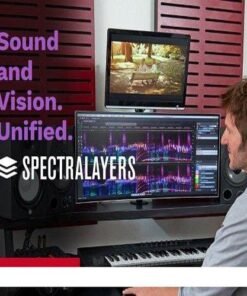 Steinberg - SpectraLayers Pro 7.0.10 - Full Version