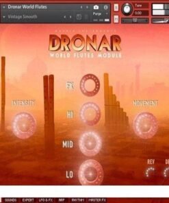 Gothic Instruments - DRONAR World Flutes Module - Full Version