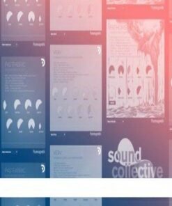 Puremagnetik – Bundle - Full Version