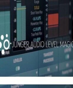 Flux - Junger Audio Level Magic 21.9.0.50083 - Full Version