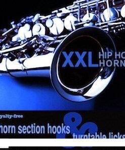 Big Fish Audio - Vintage Horns - Full Version