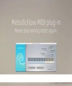 FeelYourSound - MelodicFlow 1.1.0 - Full Version