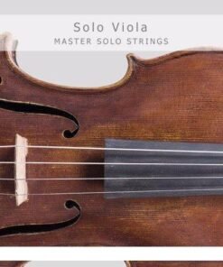 Auddict - Master Solo Strings VIOLA - Full Version
