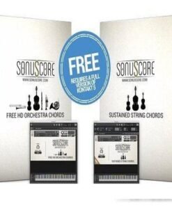 Sonuscore - Orchestra Chords - Full Version