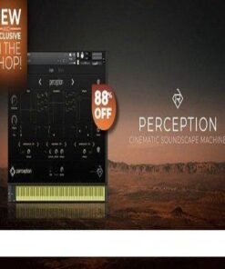 Rigid Audio - Perception - Full Version