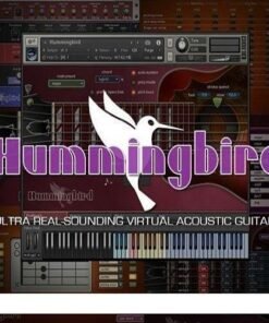 Prominy - Hummingbird (Lite Edition) - Full Version