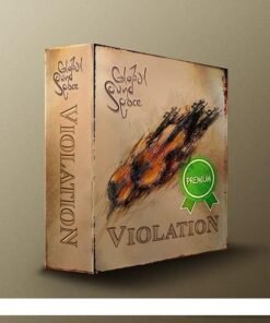 Global Soundspace - Violation v2.0 - Full Version