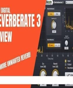 Acon Digital - DeVerberate 3 v3.0.3 - Full Version