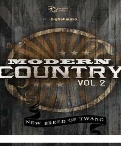 Dieguis Productions - Modern Country Vol.2 - Full Version