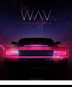 Delicate Beats - WAV - Full Version