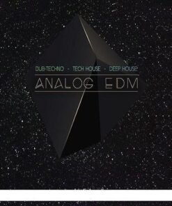 Big Fish Audio - Analog EDM - Full Version