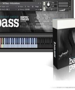 Straight Ahead Samples - Bass - Full Version