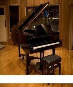Sampletekk - TVBO Studio Grand Piano 1.1 - Full Version