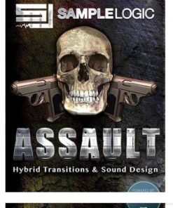 Sample Logic - Assault - Full Version