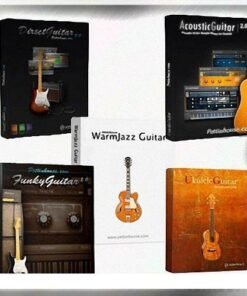 Pettinhouse - Guitas Bundles - Full Version