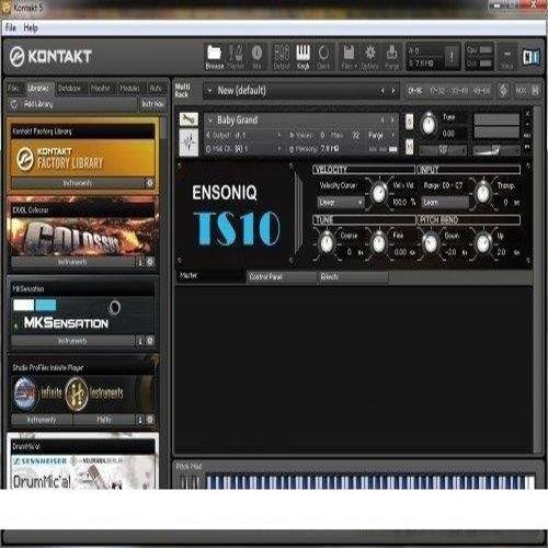 2481.jpg