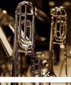 Auddict - Master Brass Trombones - Full Version