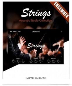 Muze - Strings Ensemble - Full Version