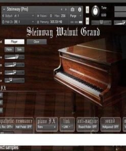 Imperfect Samples - Steinway Walnut Concert Grand Pro - Full Version