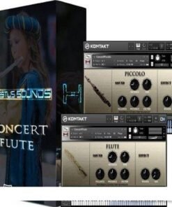 Hephaestus Sounds - Concert Flute - Full Version