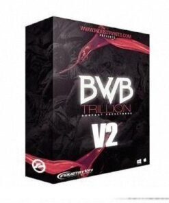 IndustryKits - BWB Trillion V2 - Full Version