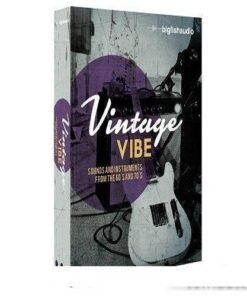 Big Fish Audio - Vintage Vibe - Full Version
