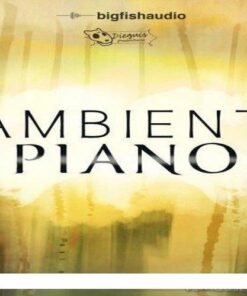 Big Fish Audio - Dieguis Productions Ambient Piano - Full Version