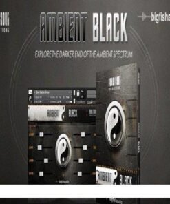 Big Fish Audio - Ambient Black - Full Version