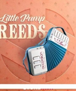 Soundiron - Little Wooden Flutes - Full Version