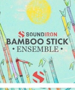 Soundiron - Bizarre Sitar 2.0 - Full Version