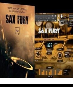 Have Instruments - SAX FURY - Full Version