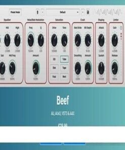 Caelum Audio - Beef 1.0.1 - Full Version