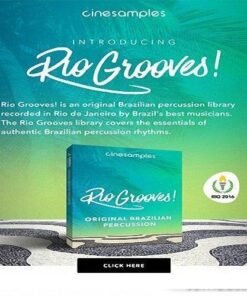 Cinesamples - Rio Grooves - Full Version