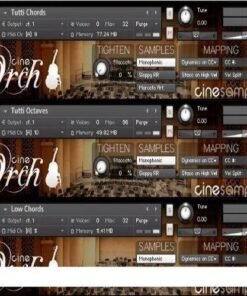 Cinesamples - CinePerc AUX 1.1 - Full Version