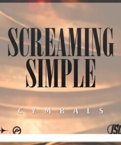 Joey Sturgis Drums - Screaming Simple - Full Version