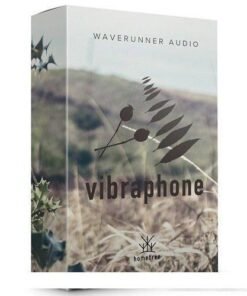 Waverunner Audio - Rosehip Vibes - Full Version