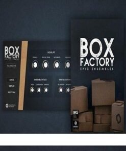Fracture Sounds - Box Factory - Full Version