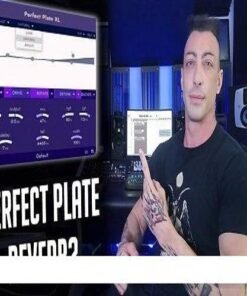 Denise Audio - Perfect Plate v1.0.2 - Full Version