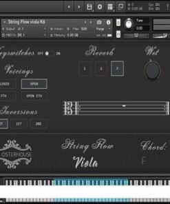 Ben Osterhouse - String Flow Viola v1.3.1 - Full Version