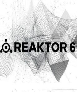Native Instruments - Reaktor 6 v6.4.0 - Full Version