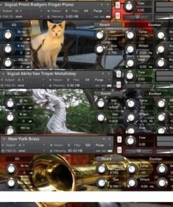 Bigcat - All Libraries Bundle - Full Version