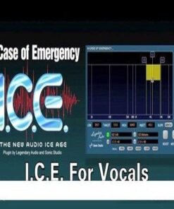 Sonic Studio - Legendary Audio I.C.E. 1.3.0 - Full Version