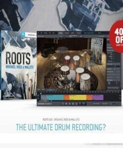 ToonTrack - ROOTS SDX - BRUSHES, RODS & MALLETS - Full Version