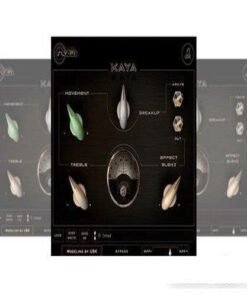 Sly-Fi Digital - Kaya 1.1.0 - Full Version
