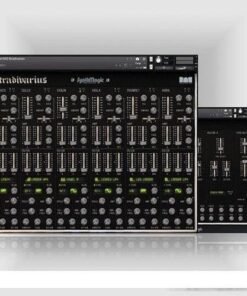 Synth Magic - EKO Stradivarius - Full Version