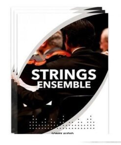 Sonex Audio - Strings Ensemble - Full Version
