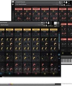 Pornofonic Instruments - Rezonator v1.1 - Full Version