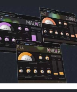 BLZ Audio - Coloured Reverb Pack v1.0.2 (Amber, Coral, Mauve) - Full Version